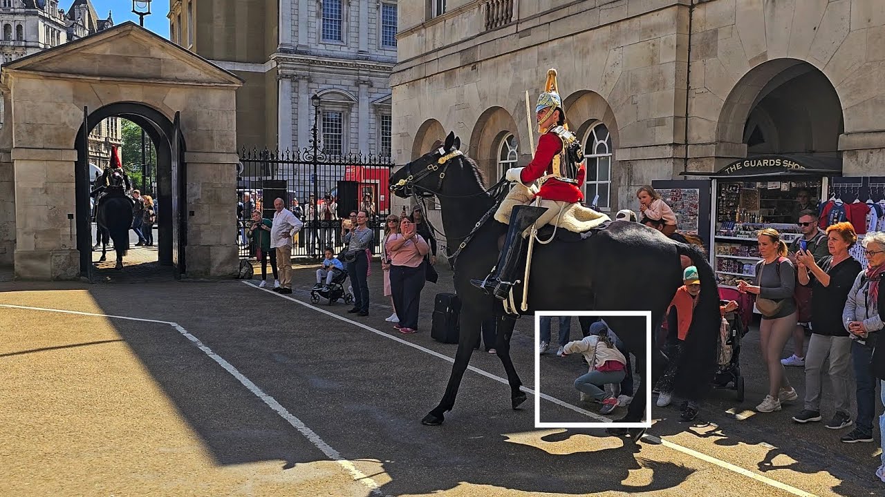 Horse spooked guard shouts and moves horse at tourist in the way #thekingsguard